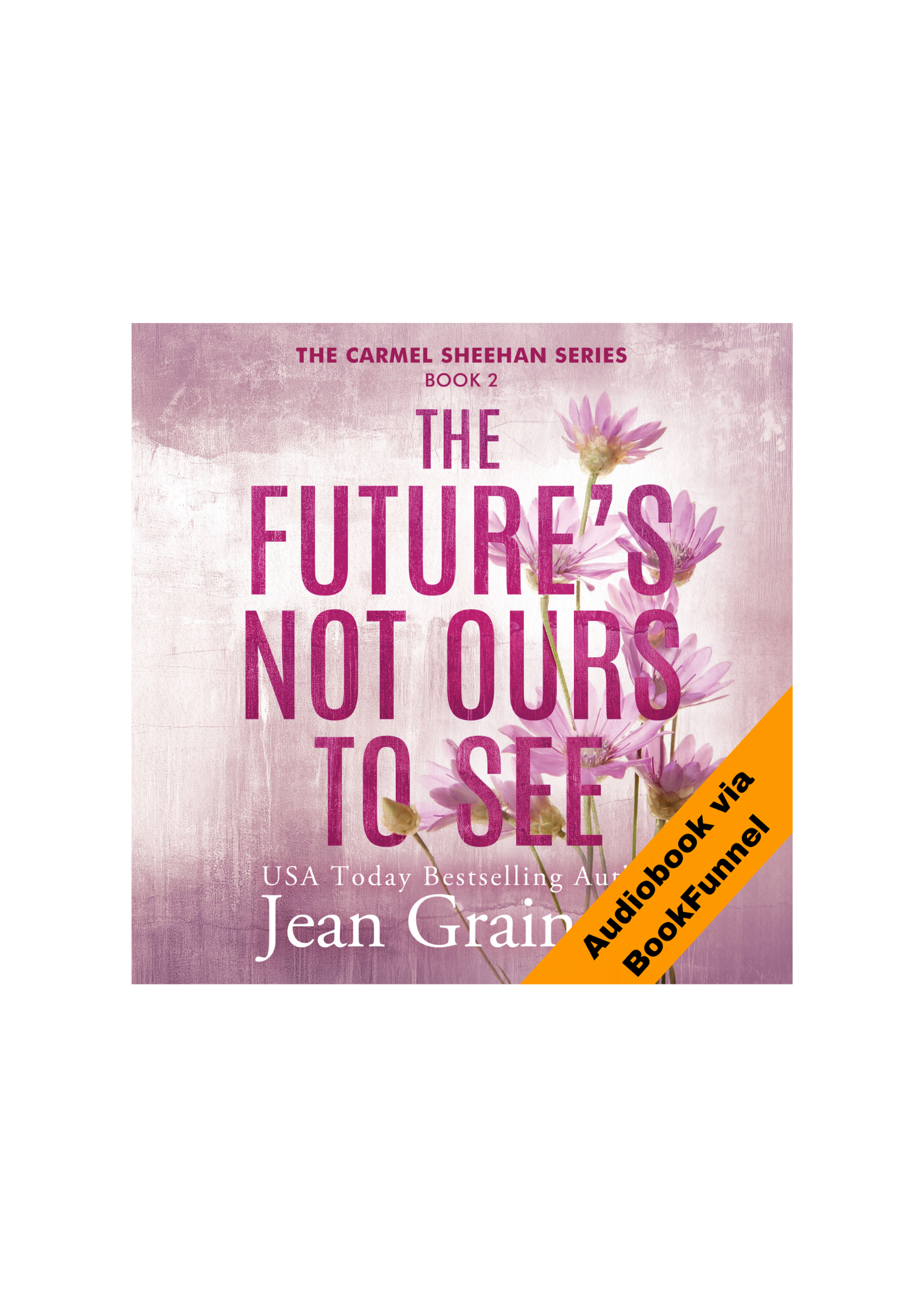 The Future's Not Ours To See Audiobook - The Carmel Sheehan Series - Book 2